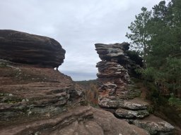 Wanderung Lindelbrunn Nov 2025